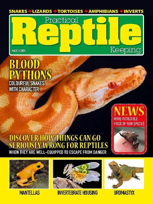 Titeldetails für Practical Reptile Keeping nach David Alderton - Verfügbar